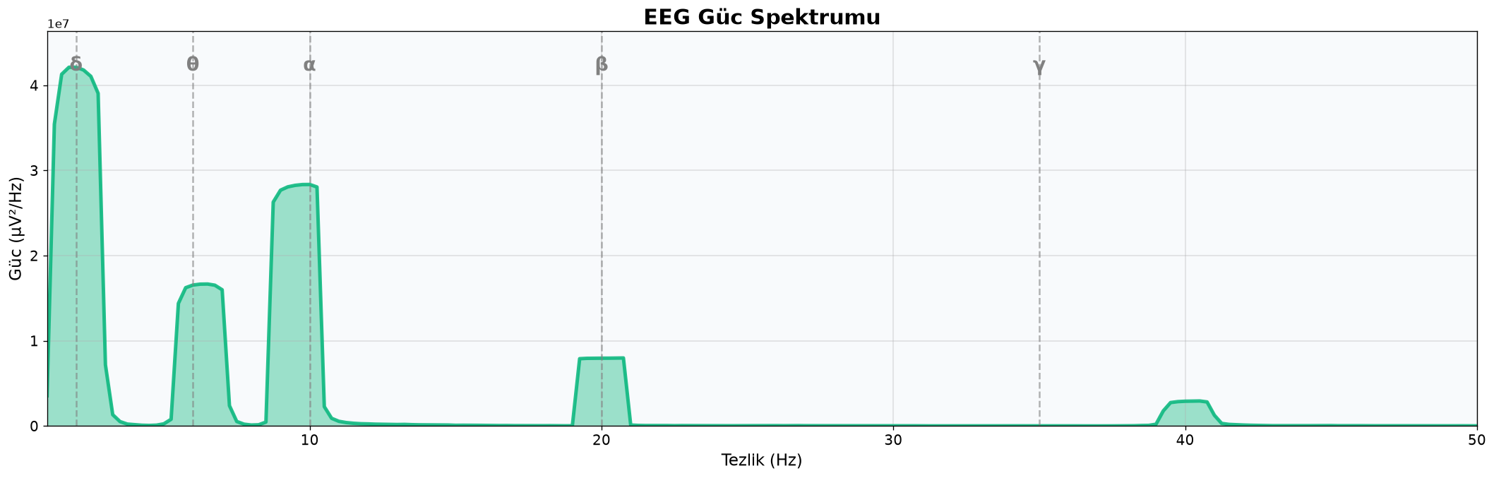 EEG Chart